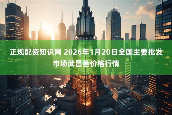 正规配资知识网 2026年1月20日全国主要批发市场武昌鱼价格行情